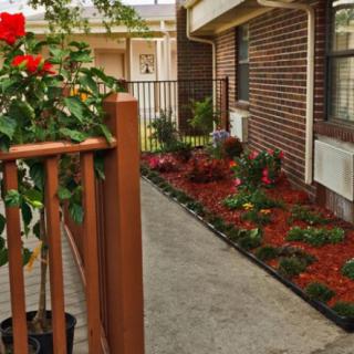 A neatly landscaped garden beside a brick building with vibrant flowers and plants along a walkway.