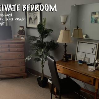 A private bedroom featuring a desk with a chair and lamp, alongside a dresser and decorative plant.