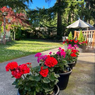 A vibrant flower arrangement brightens up the garden on a sunny day.