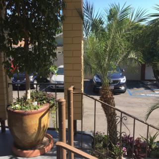A sunny view from a porch showcasing palm trees and parked cars in a residential area.