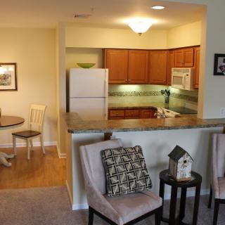An open floor plan apartment with a view of the kitchen, dining area, and living space.