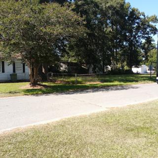 A peaceful residential street lined with trees and greenery.