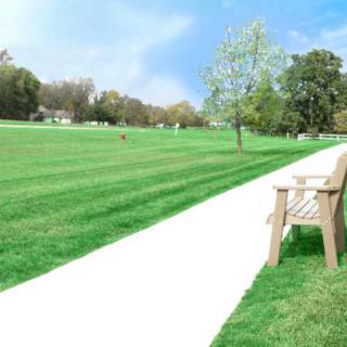 A sunny day in the park with a bench along a paved pathway and lush green grass.