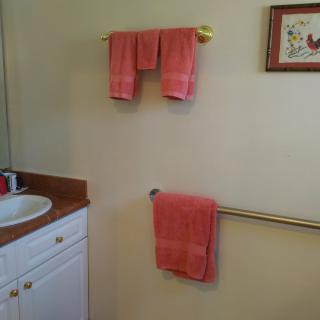 A bathroom with coral towels hanging on rails and a framed picture on the wall.