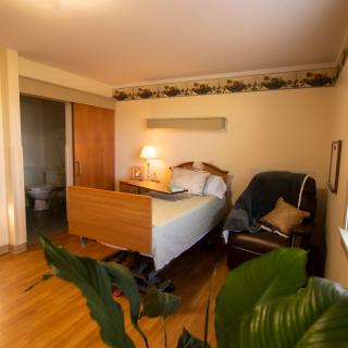 A cozy hospital room with a bed, chair, and plants.