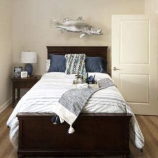 Amira Choice Sarasota