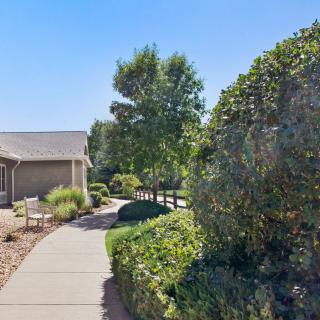 A peaceful residential garden with a sidewalk lined by shrubs and trees.