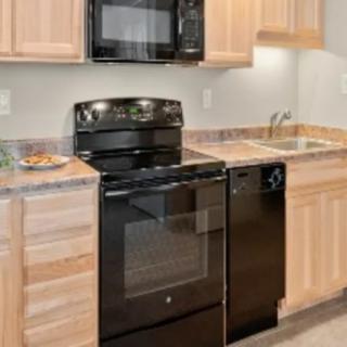 Modern kitchen with black appliances and wooden cabinets.