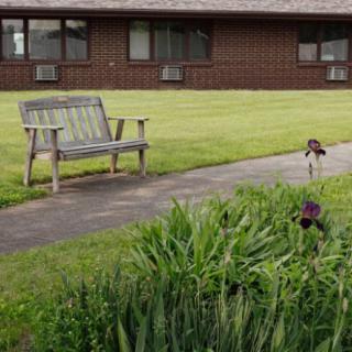 A small dog walks along a path next to a wooden bench and garden in a grassy area outside a building.