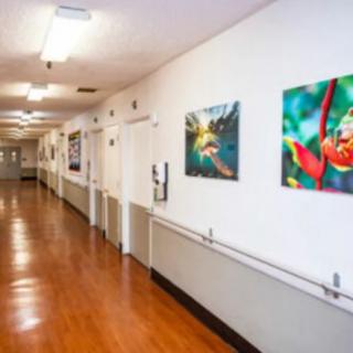 A hospital hallway featuring colorful artwork on the walls.