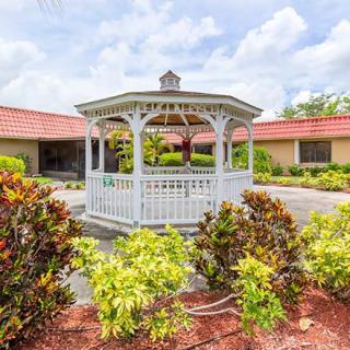 A charming white gazebo surrounded by lush greenery and vibrant plants in an outdoor courtyard.