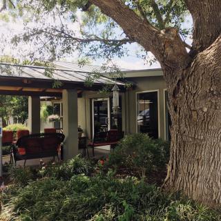 A cozy house with a large tree and a shaded patio area, surrounded by lush greenery.