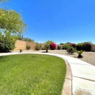 A well-maintained backyard featuring a grassy area, a pathway, and various plants under a clear blue sky.