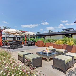 A sunny patio with comfortable outdoor seating and a fire pit surrounded by lush landscaping.