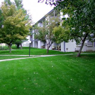 A well-maintained lawn with a pathway in front of an apartment building surrounded by trees.