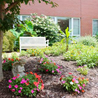 A serene garden featuring vibrant flowers and a white bench, perfect for relaxation.