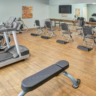 A modern gym with treadmills and benches, featuring mirrors for an enhanced workout experience.