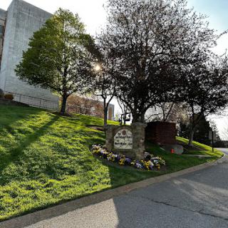 A view of a green hillside with trees and a decorative sign in front of a building.