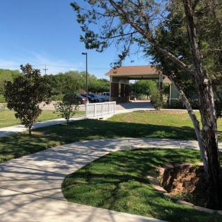 A sunny day in a park with a winding pathway and lush green grass.