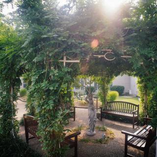 A serene garden with a lush pergola, benches, and a statue basking in sunlight.