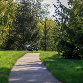 A peaceful park scene with a pathway leading to a bench surrounded by lush trees.