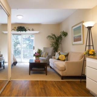 A cozy living room with a modern design featuring a comfortable sofa, coffee table, floor lamp, and decorative plants.