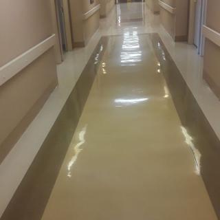 A shiny corridor in a hospital with beige walls.