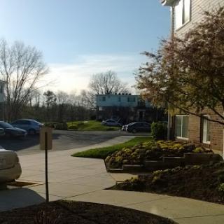 A peaceful view of a residential area with trees and parked vehicles under a clear sky.