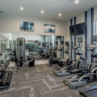 A modern gym with various exercise equipment including treadmills, elliptical machines, and dumbbells.