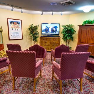 A cozy meeting room with chairs arranged around a television, surrounded by plants and decorated with wall art.