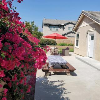 A sunny backyard patio with blooming bougainvillea and outdoor seating.