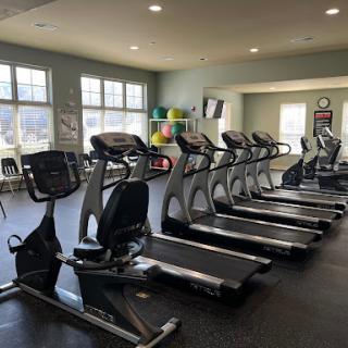A well-equipped gym featuring multiple treadmills and ellipticals, perfect for a workout session.