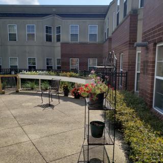 A sunny courtyard with potted plants and surrounding buildings.