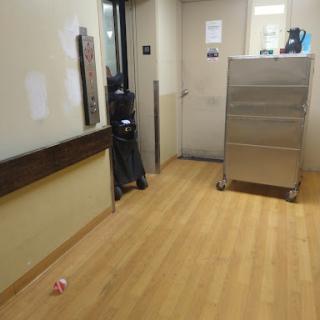 A well-maintained hallway in a medical facility, featuring light wood flooring and a cabinet against the wall.