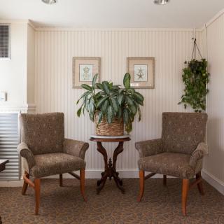 A cozy living area with two chairs, a small table, and decorative plants.
