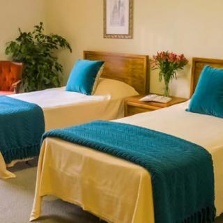 A cozy bedroom with twin beds, decorated with teal accents and a touch of greenery.
