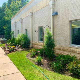 A well-maintained garden with various plants alongside a building's exterior walkway.