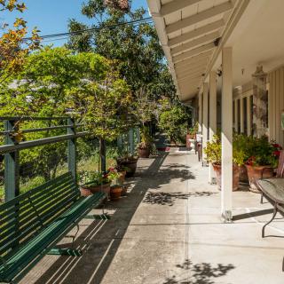 A sunny patio with a walkway lined by various potted plants and a bench.
