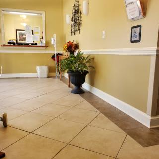 A warm and inviting waiting area with decorative plants and a tiled floor.