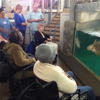Elderly individuals enjoying an interactive aquarium experience, observing aquatic life.