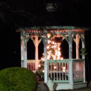 A beautifully illuminated gazebo surrounded by greenery at night.