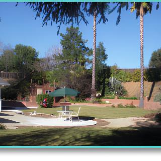 A sunny garden with palm trees, patio furniture, and a well-maintained lawn.