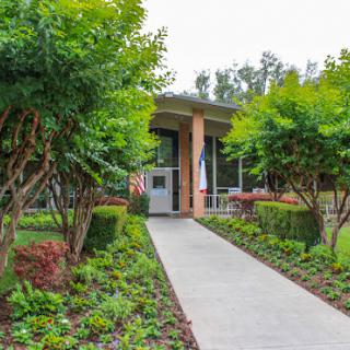 A serene garden pathway leading to a modern building entrance.