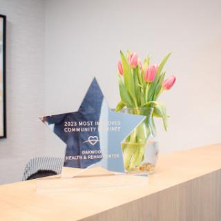 A beautiful display featuring an award and a vase of tulips on a modern countertop.