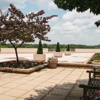 A spacious outdoor terrace with trees, planters, and seating under a partly cloudy sky.