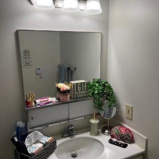 A well-organized bathroom sink area with a mirror, toiletries, and a decorative plant.