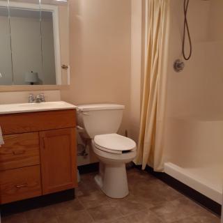 A bathroom with a sink, toilet, and shower area.