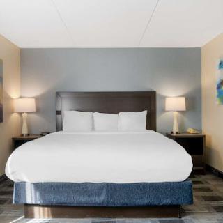A cozy and modern hotel bedroom featuring a large bed, bedside lamps, and tasteful decor.