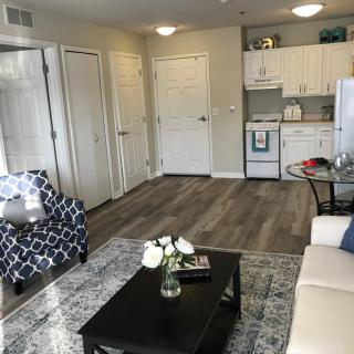 A modern open-concept living room and kitchen area in an apartment.