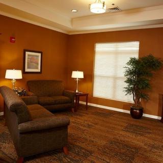 A cozy living room with two sofas, lamps, and an indoor plant.